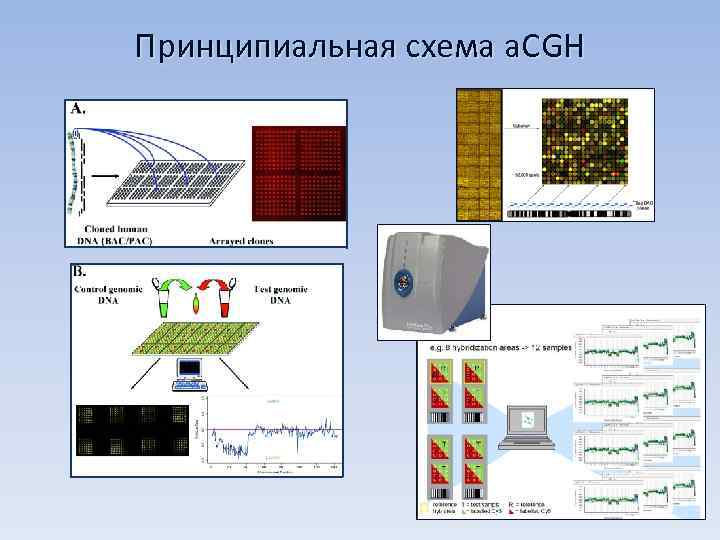 Принципиальная схема a. CGH 
