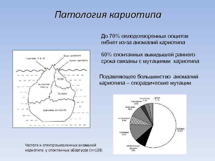     Патология кариотипа    До 70% оплодотворенных ооцитов 
