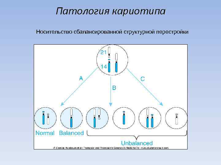  Патология кариотипа Носительство сбалансированной структурной перестройки 