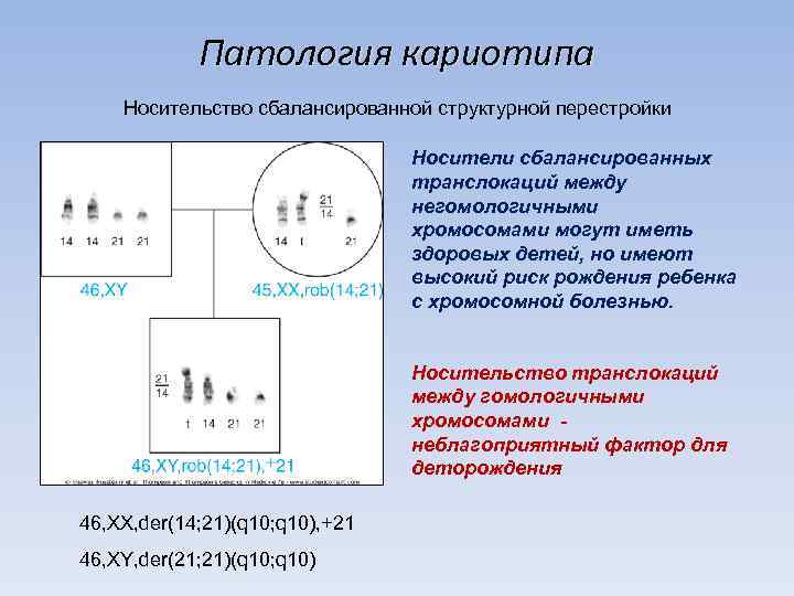  Патология кариотипа Носительство сбалансированной структурной перестройки      
