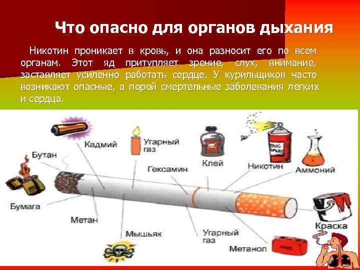 Что опасно для органов дыхания  Никотин проникает в кровь, и она разносит