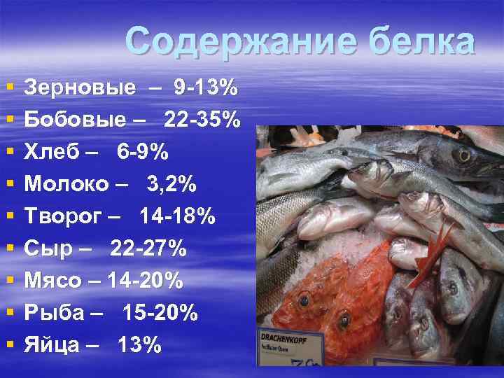 Содержание белка § Зерновые – 9 -13% § Бобовые – Содержание белка § Зерновые – 9 -13% § Бобовые –