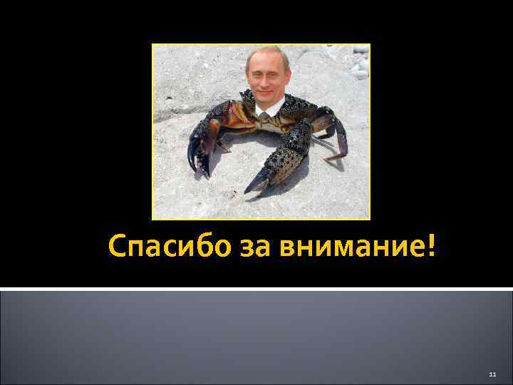 Спасибо за внимание!     11 
