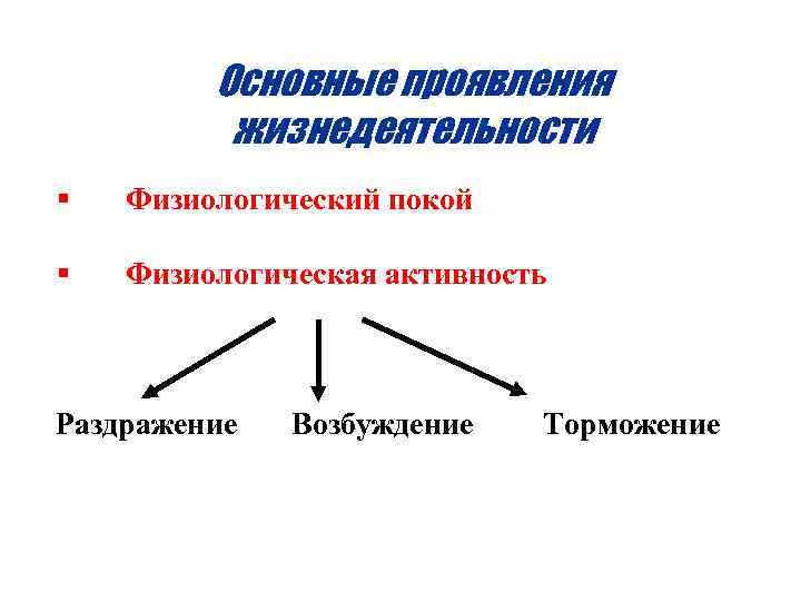    Основные проявления  жизнедеятельности §  Физиологический покой §  Физиологическая