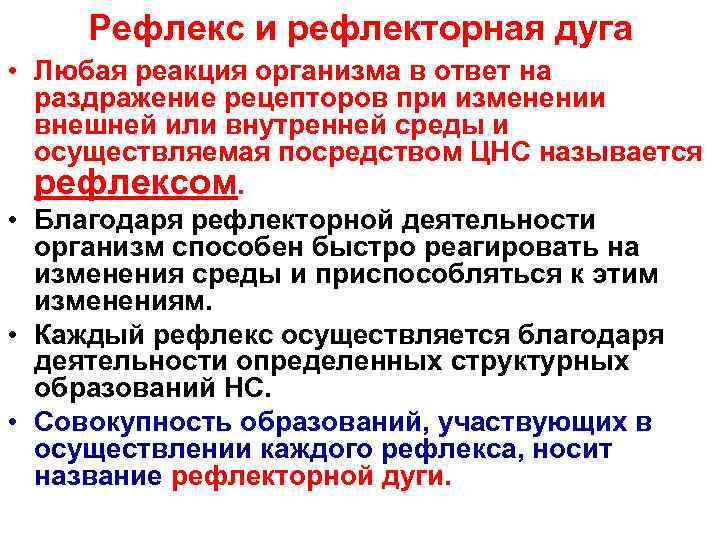  Рефлекс и рефлекторная дуга • Любая реакция организма в ответ на  раздражение