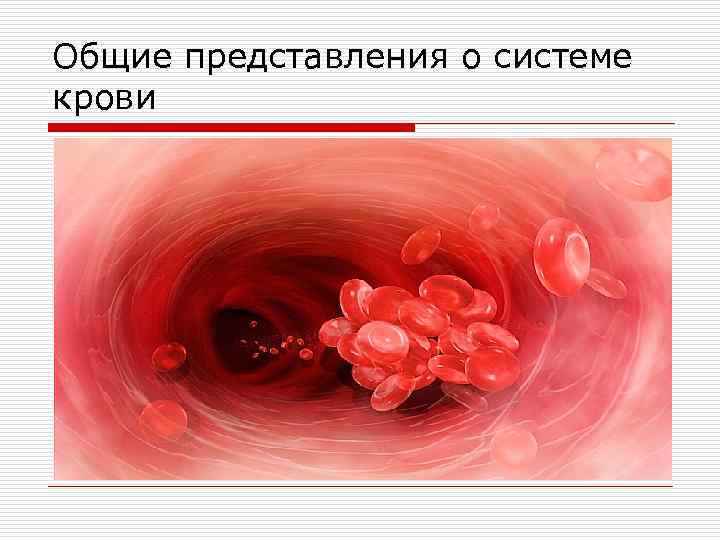 Общие представления о системе крови 