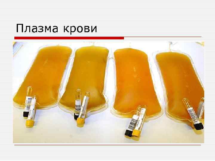 Плазма крови 