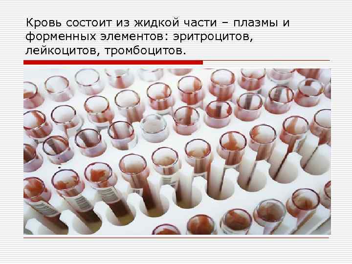 Кровь состоит из жидкой части – плазмы и форменных элементов: эритроцитов, лейкоцитов, тромбоцитов. 
