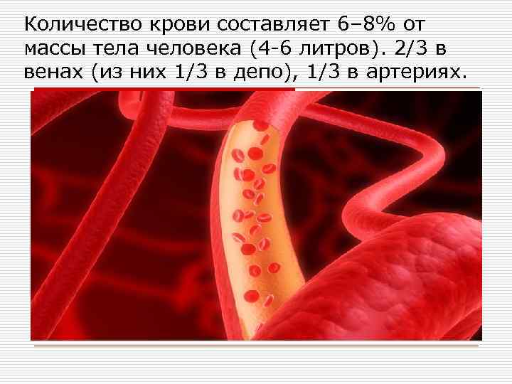 Количество крови составляет 6– 8% от массы тела человека (4 -6 литров). 2/3 в