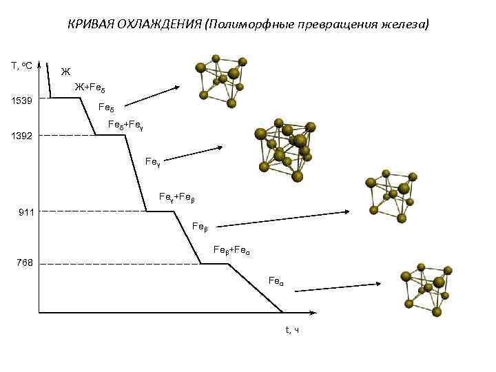   КРИВАЯ ОХЛАЖДЕНИЯ (Полиморфные превращения железа) Т, о. С   Ж+Feδ 1539