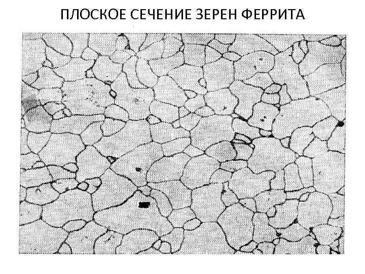 ПЛОСКОЕ СЕЧЕНИЕ ЗЕРЕН ФЕРРИТА 