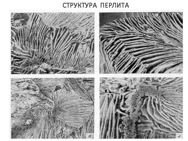 СТРУКТУРА ПЕРЛИТА 
