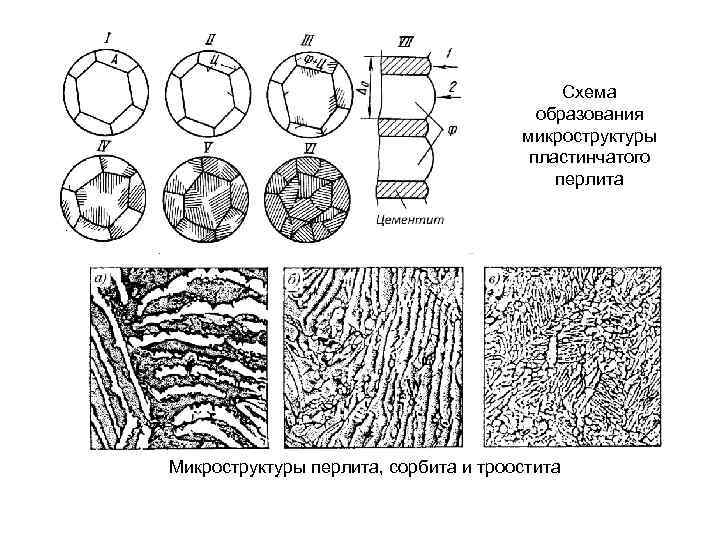     Схема       образования  