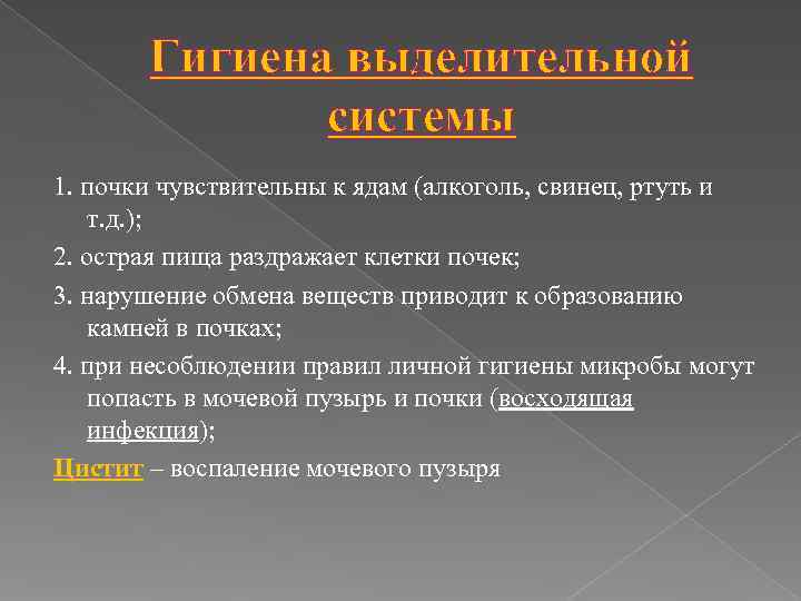   Гигиена выделительной    системы 1. почки чувствительны к ядам (алкоголь,