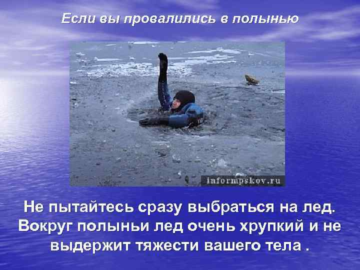   Если вы провалились в полынью Не пытайтесь сразу выбраться на лед. Вокруг