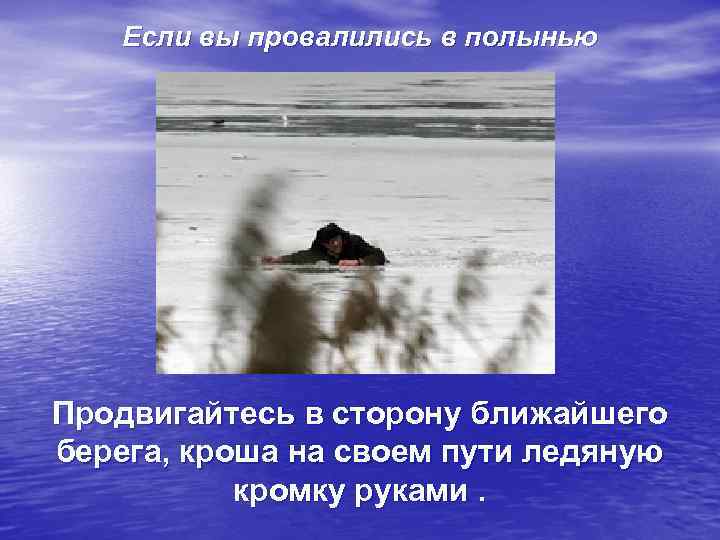   Если вы провалились в полынью Продвигайтесь в сторону ближайшего берега, кроша на