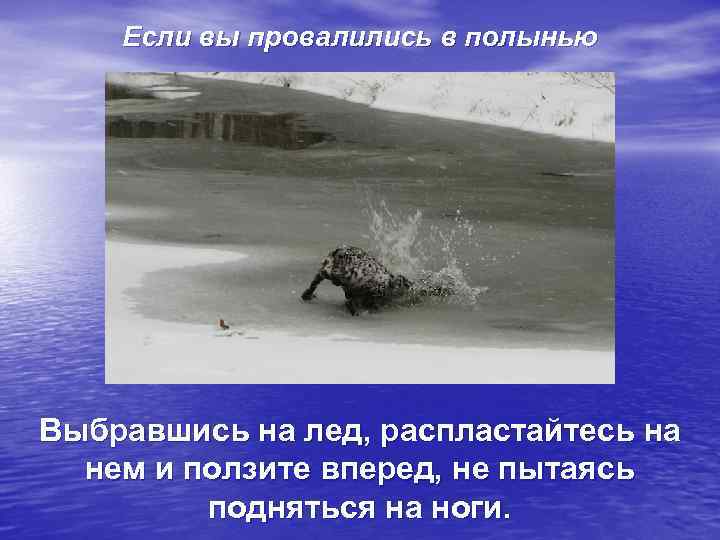   Если вы провалились в полынью Выбравшись на лед, распластайтесь на  нем