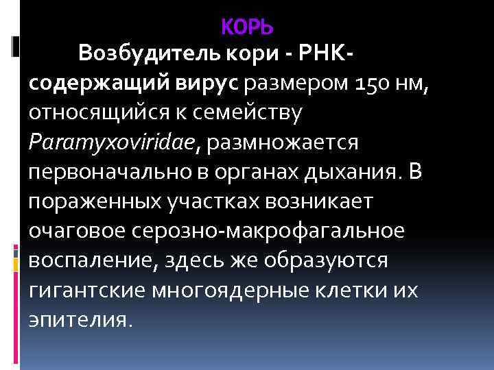    КОРЬ Возбудитель кори - РНК- содержащий вирус размером 150 нм, относящийся