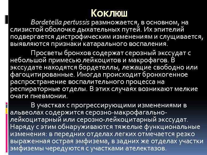      Коклюш  Bordetella pertussis размножается, в основном, на слизистой