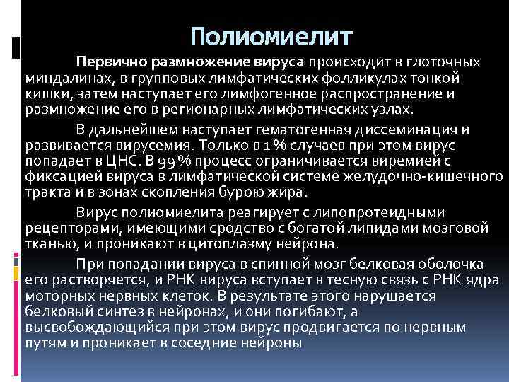     Полиомиелит  Первично размножение вируса происходит в глоточных миндалинах,