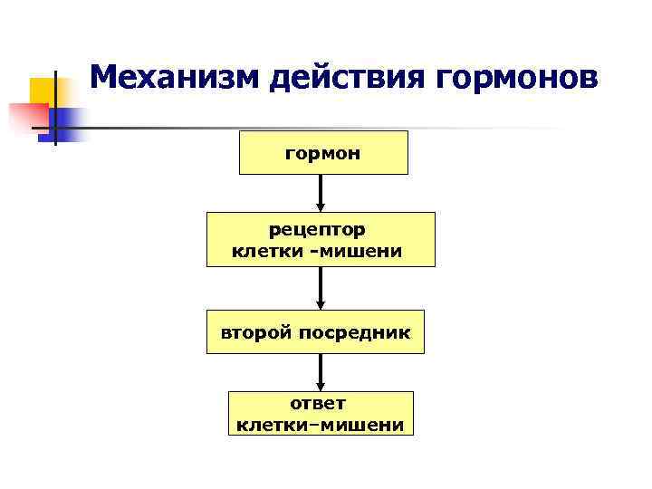 Механизм действия гормонов гормон рецептор клетки Механизм действия гормонов гормон рецептор клетки