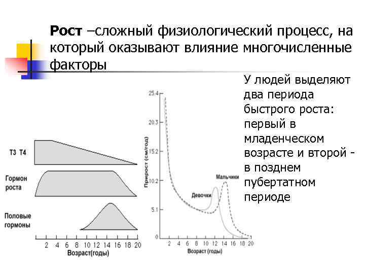 Рост –сложный физиологический процесс, на который оказывают влияние многочисленные факторы Рост –сложный физиологический процесс, на который оказывают влияние многочисленные факторы