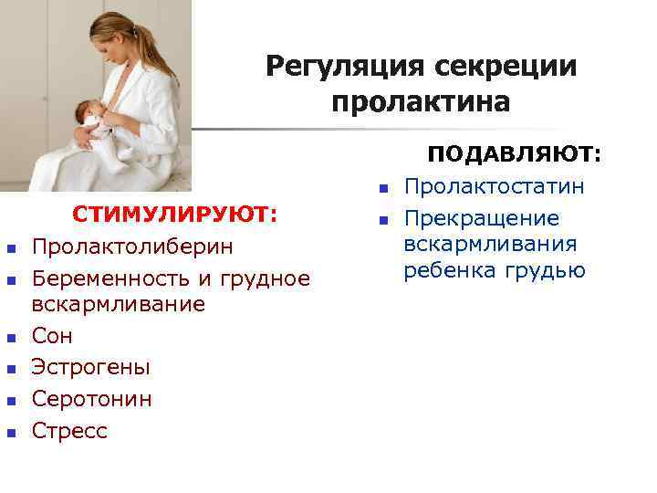 Регуляция секреции пролактина Регуляция секреции пролактина