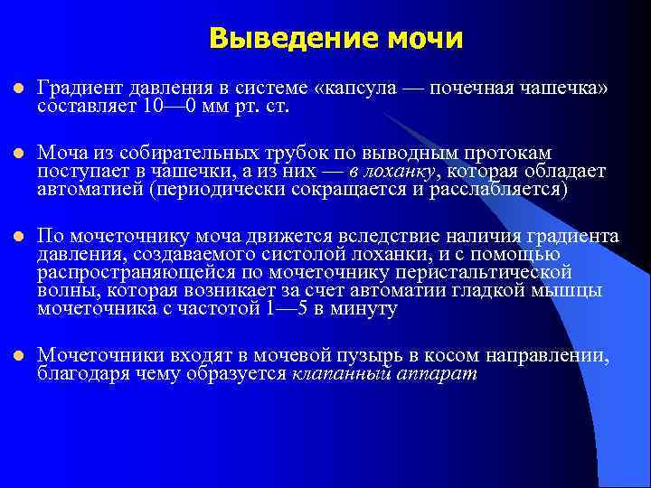 Процессы диуреза. Процесс выведения мочи. Регуляция выведения мочи.