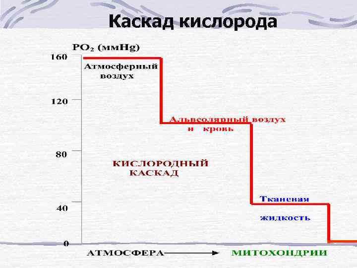 Каскад кислорода 