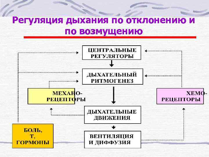 Регуляция дыхания по отклонению и  по возмущению 