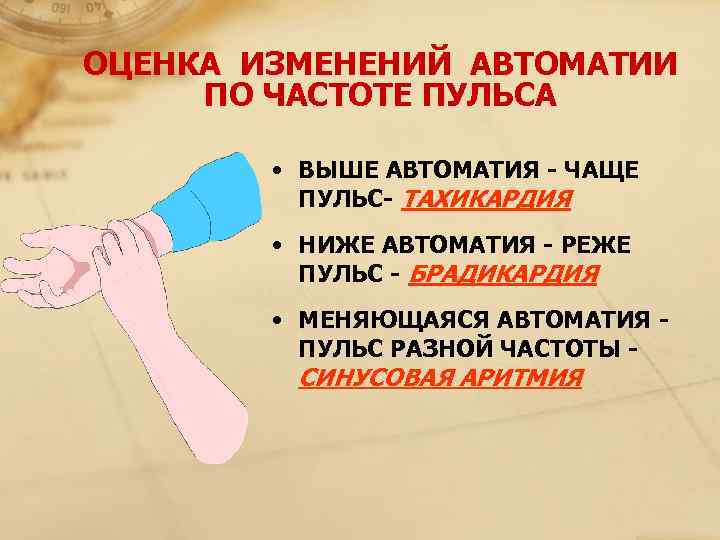 ОЦЕНКА ИЗМЕНЕНИЙ АВТОМАТИИ  ПО ЧАСТОТЕ ПУЛЬСА  • ВЫШЕ АВТОМАТИЯ - ЧАЩЕ 