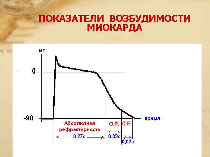 ПОКАЗАТЕЛИ ВОЗБУДИМОСТИ  МИОКАРДА 
