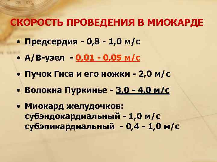 СКОРОСТЬ ПРОВЕДЕНИЯ В МИОКАРДЕ  • Предсердия - 0, 8 - 1, 0 м/с