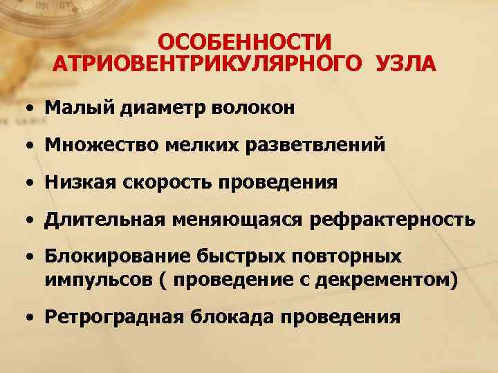    ОСОБЕННОСТИ  АТРИОВЕНТРИКУЛЯРНОГО УЗЛА • Малый диаметр волокон • Множество мелких