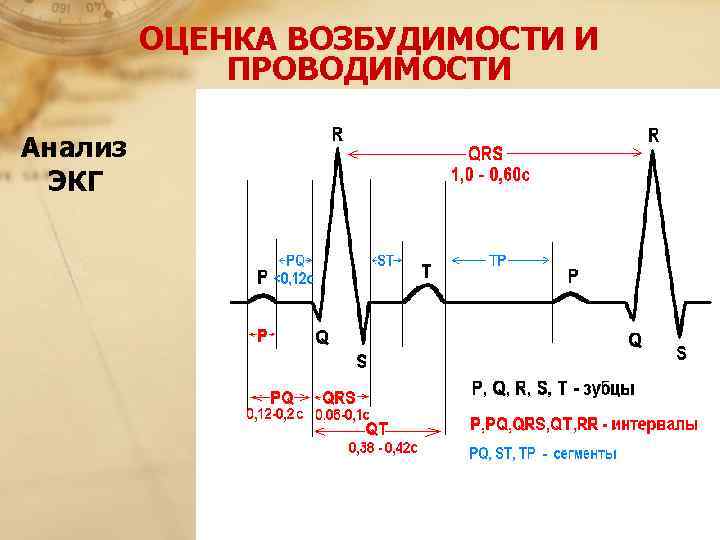    ОЦЕНКА ВОЗБУДИМОСТИ И    ПРОВОДИМОСТИ Анализ  ЭКГ 