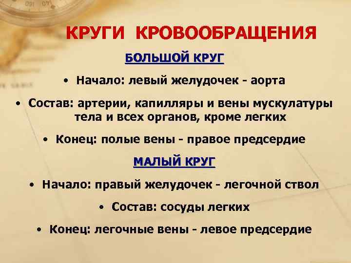   КРУГИ КРОВООБРАЩЕНИЯ   БОЛЬШОЙ КРУГ   • Начало: левый желудочек