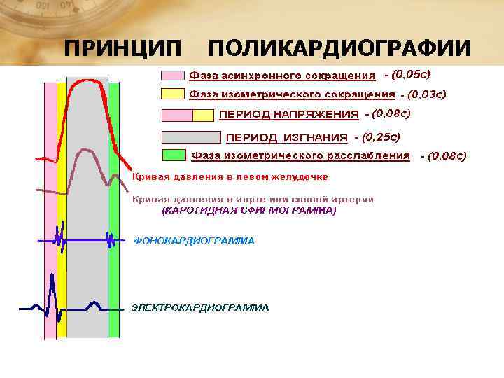ПРИНЦИП  ПОЛИКАРДИОГРАФИИ 