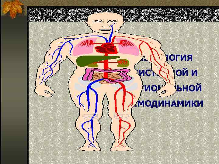 ФИЗИОЛОГИЯ СИСТЕМНОЙ И РЕГИОНАЛЬНОЙ ГЕМОДИНАМИКИ 