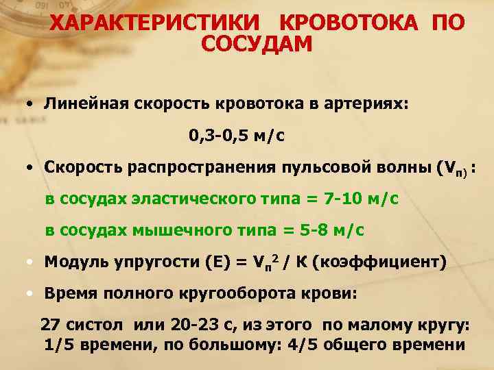   ХАРАКТЕРИСТИКИ  КРОВОТОКА ПО   СОСУДАМ  • Линейная скорость кровотока