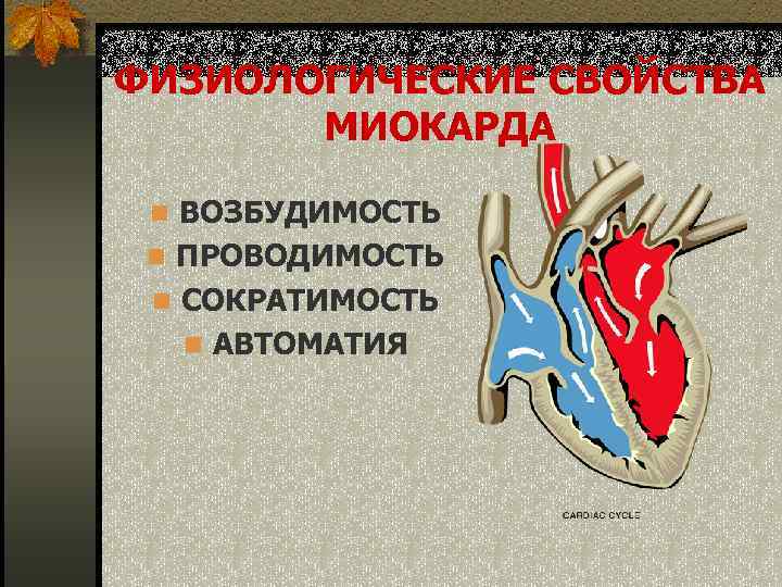 ФИЗИОЛОГИЧЕСКИЕ СВОЙСТВА   МИОКАРДА  n ВОЗБУДИМОСТЬ n ПРОВОДИМОСТЬ n СОКРАТИМОСТЬ  n