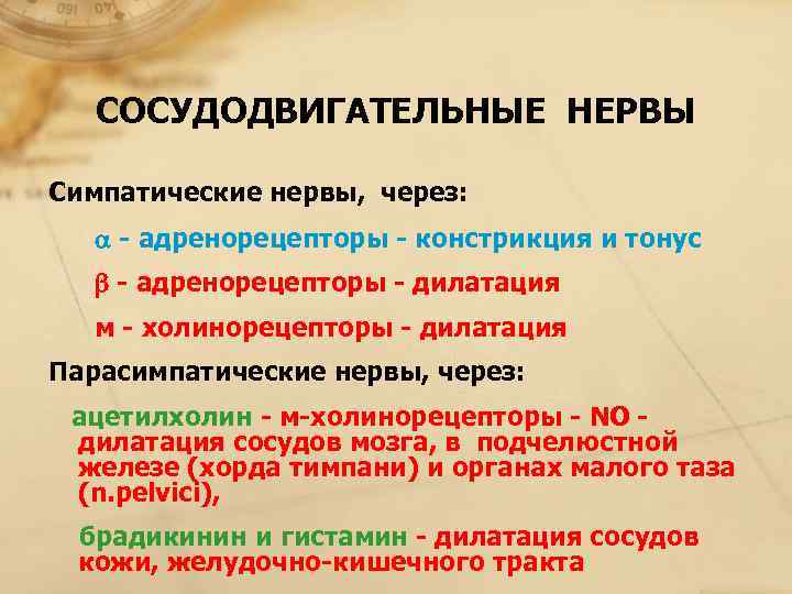   СОСУДОДВИГАТЕЛЬНЫЕ НЕРВЫ Симпатические нервы,  через:   - адренорецепторы - констрикция