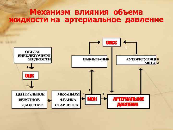   Механизм влияния объема  жидкости на артериальное давление 