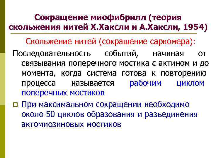 Скользящие нити. Механизм мышечного сокращения теория скольжения. Теория скользящих нитей физиология кратко. Теория скольжения физиология. Теория скольжения нитей.