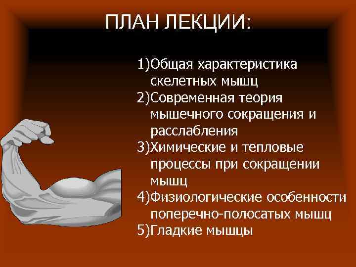 ПЛАН ЛЕКЦИИ: 1)Общая характеристика скелетных мышц 2)Современная теория мышечного сокращения и расслабления ПЛАН ЛЕКЦИИ: 1)Общая характеристика скелетных мышц 2)Современная теория мышечного сокращения и расслабления
