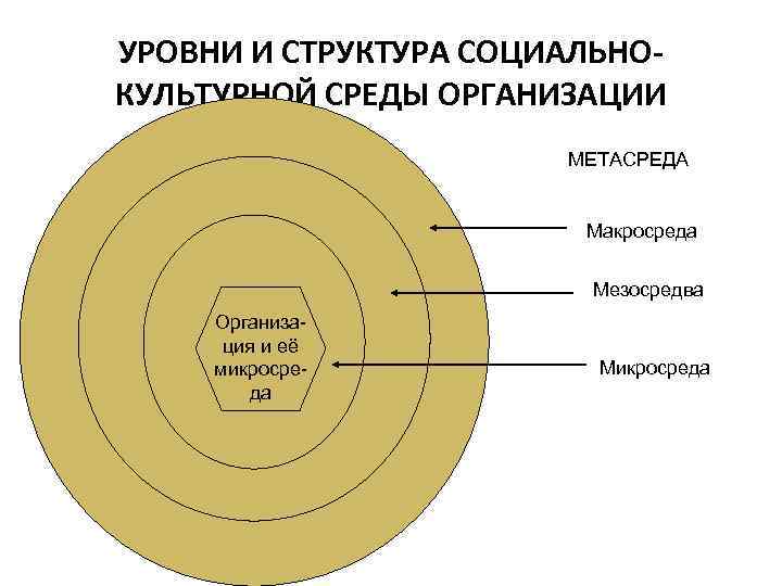 УРОВНИ И СТРУКТУРА СОЦИАЛЬНО- КУЛЬТУРНОЙ СРЕДЫ ОРГАНИЗАЦИИ    МЕТАСРЕДА   
