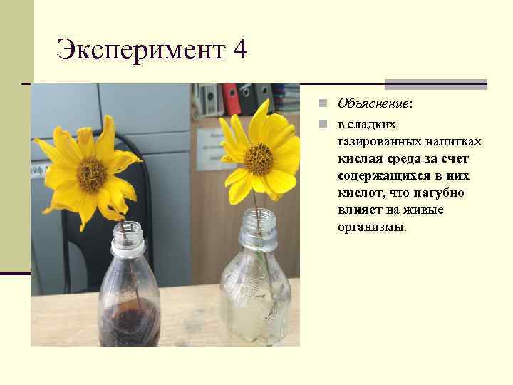 Эксперимент 4   n Объяснение:   n в сладких   