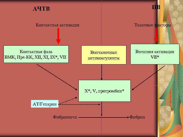 АЧТВ ПВ Контактная активация АЧТВ ПВ Контактная активация