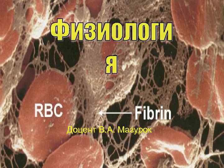 Доцент В. А. Мазурок 