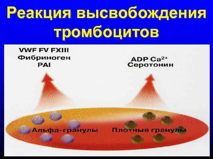 Реакция высвобождения тромбоцитов 
