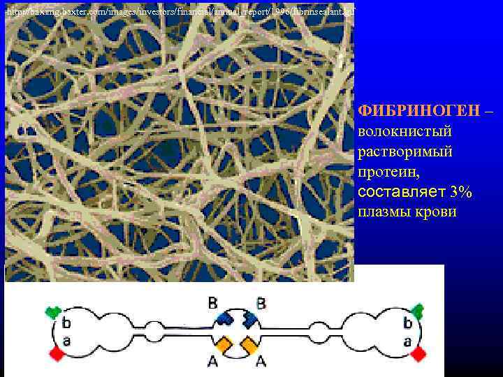 http: //baximg. baxter. com/images/investors/financial/annual_report/1996/fibrinsealant. gif        ФИБРИНОГЕН –